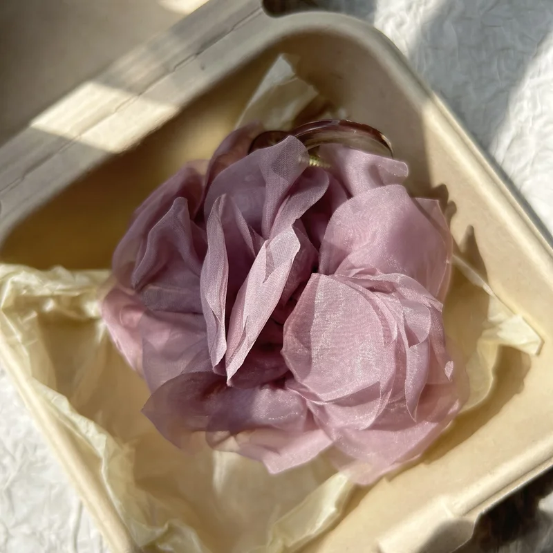 Large Imported Hair Clip 3